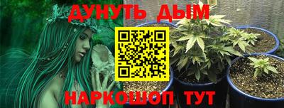 эйфоретик Дубна